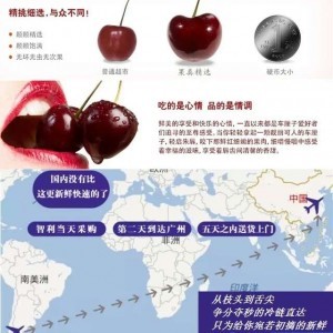 南半球車?yán)遄诱?dāng)季？智利種植商對國內(nèi)傳聞啼笑皆非